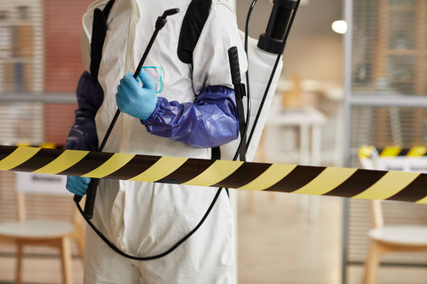 Professional Sewage Cleanup technician working in Liberty Lake, WA